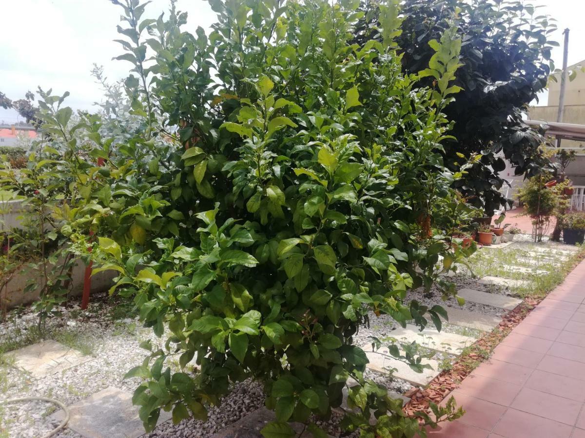 Casa Lagoa Verde อีสมอริซ ภายนอก รูปภาพ